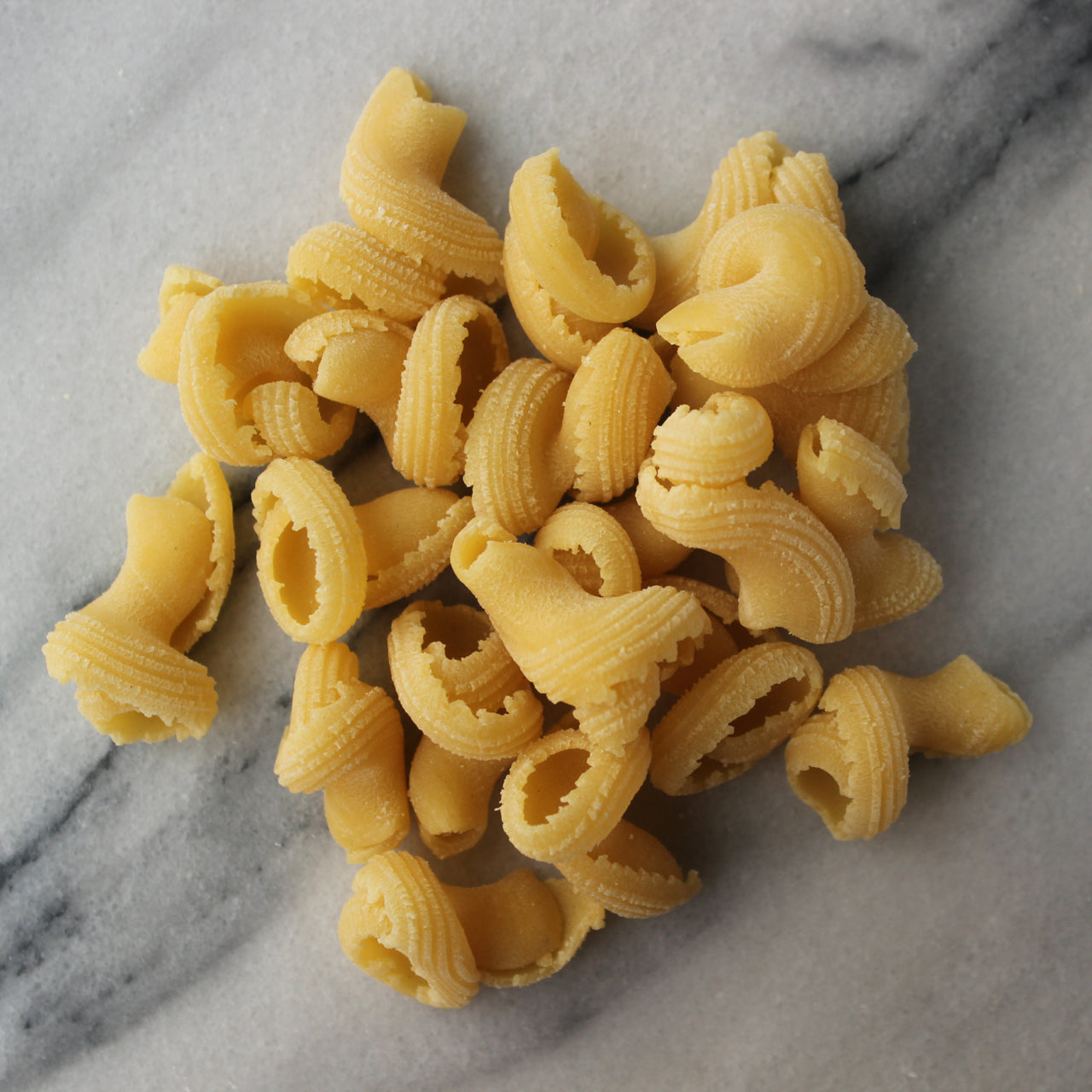 Torcio | Dom's Foods - Fresh Pasta and More in LA